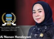 Ai Nanan Handayani Anggota DPRD Pangandaran, Apresiasi Prestasi Desa Selasari