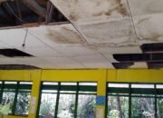 SD Negeri 156 Kalukubodo Bulukumba Butuh Renovasi, Bangunan Rusak Berpotensi Ancam Keselamatan Siswa dan Guru