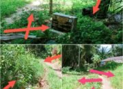 Diduga Proyek Siluman, Jalan Usaha Tani Desa Binjohara Uruk Tak Layak: Kades Mardi Barutu Dinilai Abaikan UU Desa