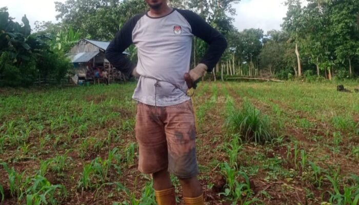 Petani Bulukumba Sambut Baik Penurunan Harga Pupuk Subsidi, Harap Akses Langsung ke Gudang