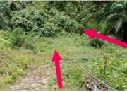 Diduga Proyek Fiktif di Desa Tumba Tapanuli Tengah Menuai Sorotan, Telan Anggaran Rp.316 Juta