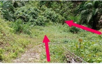 Diduga Proyek Fiktif di Desa Tumba Tapanuli Tengah Menuai Sorotan, Telan Anggaran Rp.316 Juta