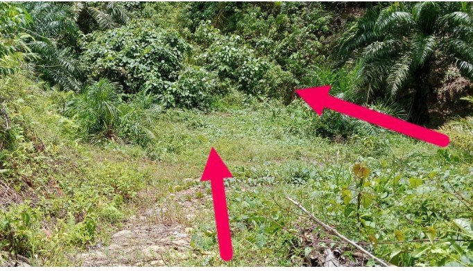 Diduga Proyek Fiktif di Desa Tumba Tapanuli Tengah Menuai Sorotan, Telan Anggaran Rp.316 Juta