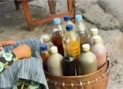 Nostalgia Mbok Jamu Gendong di Rembang, Saat Dunia Medis dan Kalcer Bersatu