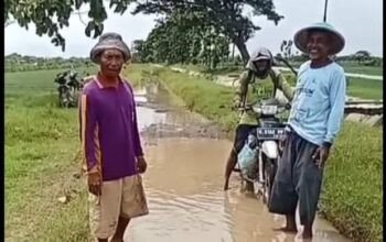 Jalan Poros Luwungbata Brebes Rusak Parah, Warga dan Petani Mendesak Perbaikan Segera