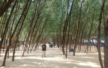 Pantai Pasir Putih Wate, Tempat Wisata di Rembang yang Eksotis