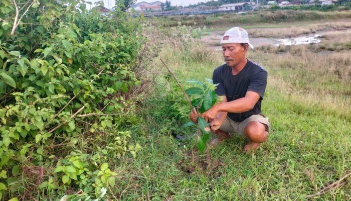 Tambak Bandeng dan Wisata Sahondho, Kunci Pertumbuhan Ekonomi di Sendangmulyo Rembang