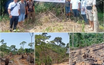 Langkah Hijau Manduamas Baru’ Pelobangan Lahan untuk Lingkungan dan Ekonomi