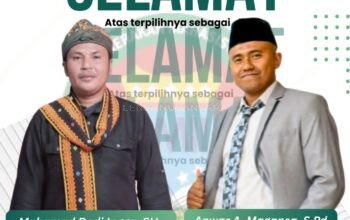 Muhammad Dedi Ingga, Terpilih Kembali Jadi Ketua IKA-PMII Kabupaten Nagekeo