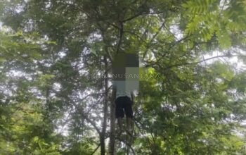 Warga Panti Ditemukan Meninggal Gantung Diri di Perkebunan Banjarsari Jember