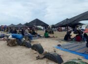Libur Tahun Baru Pantai KJB Rembang Diserbu Wisatawan