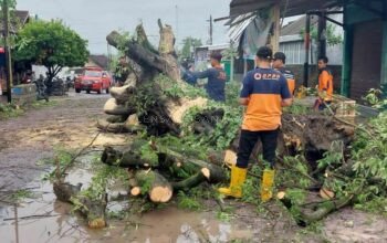 Curah Hujan Tinggi, BPBD Rembang Tanggulangi Bencana Longsor dan Banjir