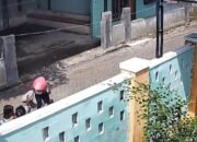 Kurang dari 24 Jam, Polisi Berhasil Ringkus Pelaku Perampasan Kalung Bocah di Mangaran Situbondo