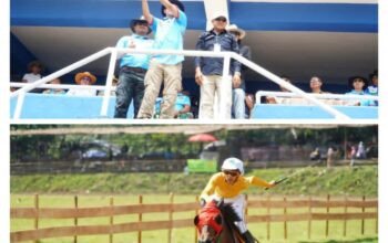 Bupati Eka Putra Buka Pacu Kuda Wirabraja Open Race dan Tradisional 2026 di Batusangkar