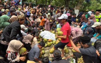 ‎Ritual Adat Sadran Gede Jelang Ramadan, Ribuan Warga Gumelem Banjarnegara Berebut Degan Ijo