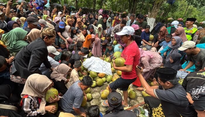 ‎Ritual Adat Sadran Gede Jelang Ramadan, Ribuan Warga Gumelem Banjarnegara Berebut Degan Ijo