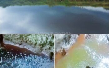 DLHK Sumut Temukan Operasional PT DMS di Sitabeak Belum Lengkapi Perizinan