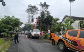BPBD Jember Bersihkan Pohon Tumbang dan Salurkan Bantuan Pasca Angin Kencang di Dua Kecamatan