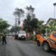BPBD Jember Bersihkan Pohon Tumbang dan Salurkan Bantuan Pasca Angin Kencang di Dua Kecamatan