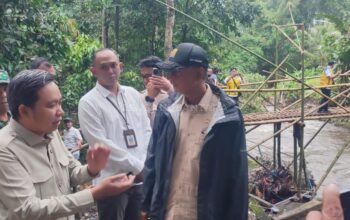 Menteri PU Tinjau Jembatan Ambruk dan Flyover, Percepat Penanganan Infrastruktur Jember