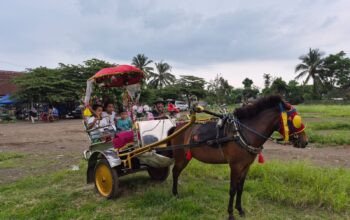 Cukup Rp10 Ribu, Warga Bisa Naik Delman di Lapangan Sukosari Bondowoso saat Ngabuburit Ramadan