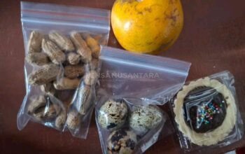 Kualitas MBG SPPG Wanasari 2 Dipertanyakan, Pemkab Purwakarta Diminta Segera Bertindak