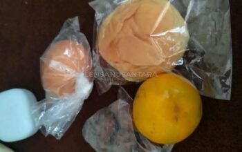 Kekecewaan Orang Tua Siswa: Menu MBG SMP 2 Wanayasa Dikeluhkan Tidak Layak