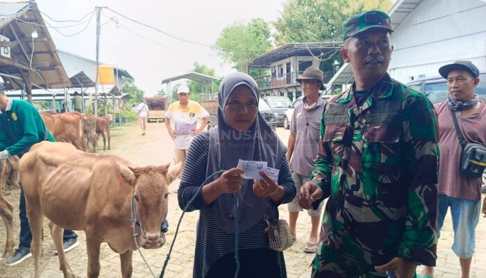 Dampak Pembangunan Bandara KASA Situbondo, 150 Buruh Tani Dapat Bantuan Ternak