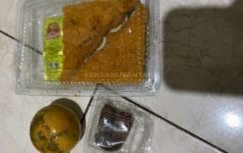 MBG di SDN 1 Bunder Purwakarta Jadi Sorotan, Menu Diduga Tak Layak dan Mobil Pengirim Dicurigai