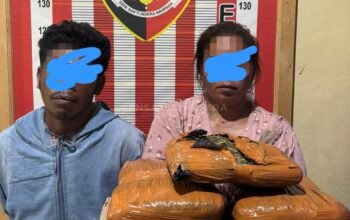 Polsek Barus Gagalkan Peredaran 5 Kg Ganja Asal Madina, Dua Kurir Ditangkap