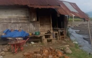 Lima Bulan Pascabanjir, Satu Keluarga di Nagari Sumpur Diduga Terlewat Bantuan Huntara