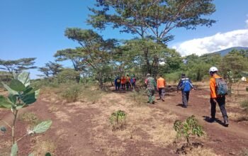 Penggembala Sapi Hilang di Hutan Baluran Situbondo