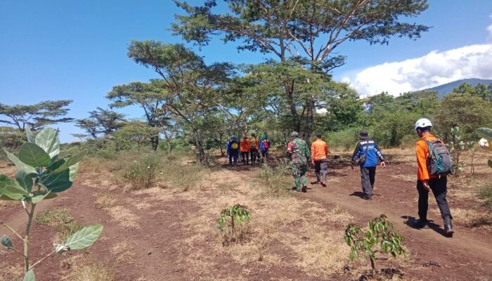 Penggembala Sapi Hilang di Hutan Baluran Situbondo