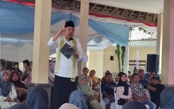 Pemkab Jember Perkuat Sektor Pertanian, Oplah Ditingkatkan Capai 8.000 Hektare