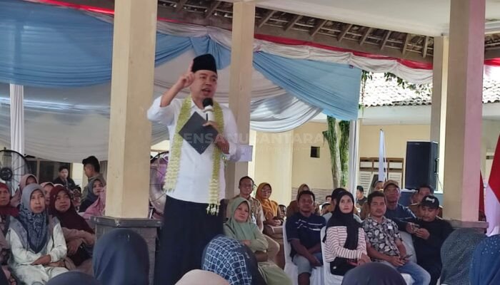 Pemkab Jember Perkuat Sektor Pertanian, Oplah Ditingkatkan Capai 8.000 Hektare