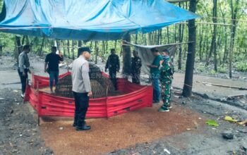 TNI-Polri Jombang Gergaji Judi Sabung Ayam, Warga Diminta Aktif Laporkan Aktivitas Ilegal