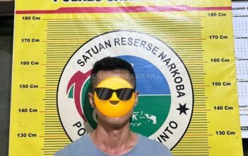 Baru Beberapa Jam, Sat Resnarkoba Polres Sawahlunto Kembali Ringkus Pelaku Sabu di Kolok Mudik