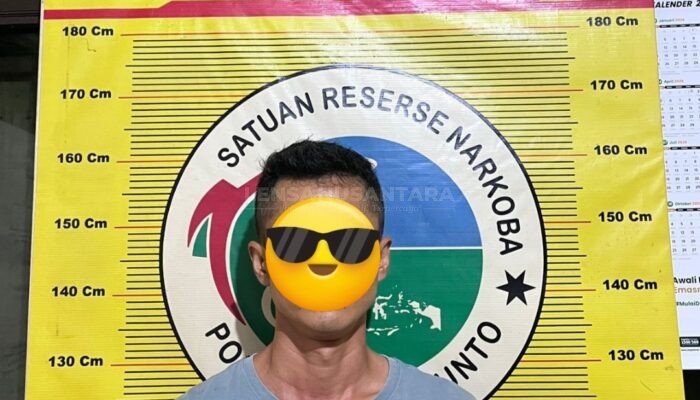 Baru Beberapa Jam, Sat Resnarkoba Polres Sawahlunto Kembali Ringkus Pelaku Sabu di Kolok Mudik