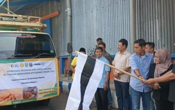 ‎Jaga Stabilitas  Harga Pakan, Bapanas bersama Perum Bulog Salurkan Jagung di Kabupaten Magetan‎