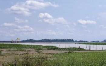 Sedimen Waduk Merica Sampai Titik Kritis, Pengerukan Lumpur untuk Batu Bata di Kritik Pegiat Lingkungan