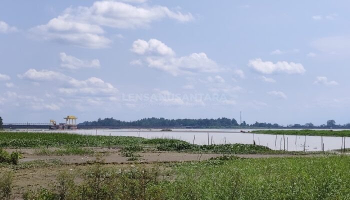 Sedimen Waduk Merica Sampai Titik Kritis, Pengerukan Lumpur untuk Batu Bata di Kritik Pegiat Lingkungan