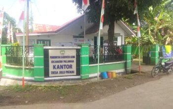Pelayanan Humanis Pemerintah Desa Julupa’mai Diapresiasi, Muh. Jufri: Pengurusan Domisili Lembaga Cepat dan Profesional