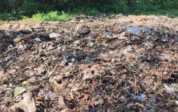 DPRKPLH Jember Diduga Buang Sampah Sembarang, Warga Keluhkan Bau dan Lalat