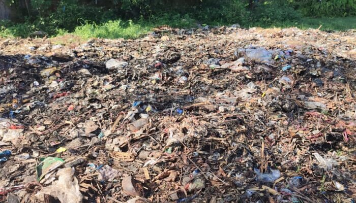 DPRKPLH Jember Diduga Buang Sampah Sembarang, Warga Keluhkan Bau dan Lalat