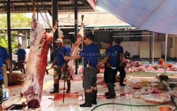 Panitia Kurban Masjid Al-Ikhlas PAP 2 Siapkan 1.469 Paket Daging untuk Warga dan Mustahik