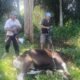 CV. LG Pratama Kembali Subangkan Hewan Qurban untuk Warga Pulau Panggung