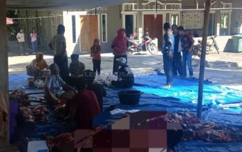 Empat Ekor Sapi Kurban Dipotong di Masjid Mujahidin Sungai Cocang, Warga Bersyukur Ada Peningkatan
