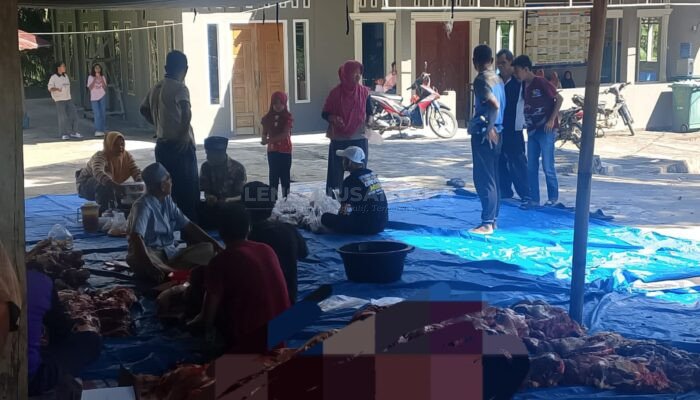 Empat Ekor Sapi Kurban Dipotong di Masjid Mujahidin Sungai Cocang, Warga Bersyukur Ada Peningkatan
