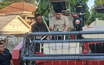 Perkuat Ketahanan Pangan, Bupati Jember Siapkan Infrastruktur dan Alsintan Bagi Petani