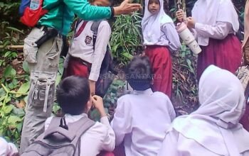 Siswa SDN 16 Sikalang Diajak Kenali Bunga Bangkai Raksasa di Geosite Air Terjun Bikan